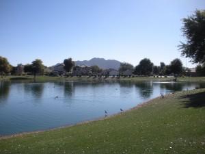 sun groves lake